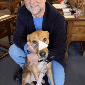 Wonderful visit from my great local friend Honey.